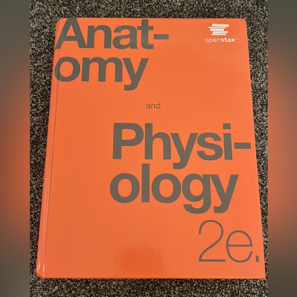 Anatomy and Psychology 2nd edition - NEW
